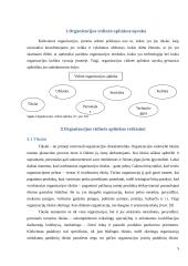 Įmonės (organizacijos) vidinės aplinkos struktūros pokyčių įtakos jos veiklos rezultatams modelis 5 puslapis