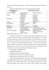 Įmonės (organizacijos) vidinės aplinkos struktūros pokyčių įtakos jos veiklos rezultatams modelis 6 puslapis