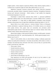 Įmonės (organizacijos) vidinės aplinkos struktūros pokyčių įtakos jos veiklos rezultatams modelis 7 puslapis