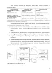 Įmonės (organizacijos) vidinės aplinkos struktūros pokyčių įtakos jos veiklos rezultatams modelis 9 puslapis