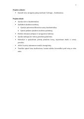 Navigacinio plano sudarymas 2 puslapis