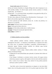 Navigacinio plano sudarymas 11 puslapis