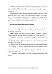 Navigacinio plano sudarymas 15 puslapis