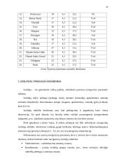 Navigacinio plano sudarymas 20 puslapis