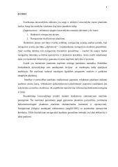 Navigacinio plano sudarymas 4 puslapis