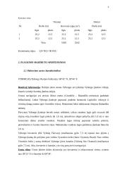 Navigacinio plano sudarymas 6 puslapis