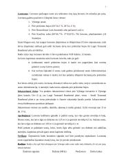 Navigacinio plano sudarymas 7 puslapis