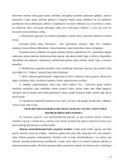 Mokymasis bendradarbiaujant 12 puslapis