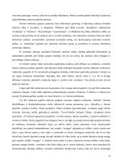Mokymasis bendradarbiaujant 13 puslapis