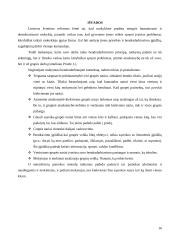 Mokymasis bendradarbiaujant 16 puslapis