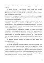 Mokymasis bendradarbiaujant 8 puslapis
