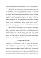 Komercinė paslaptis ir jos apsauga 13 puslapis