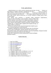 Arvydas Sabonis ir jo karjera 12 puslapis