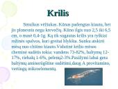 Nežuviniai jūros produktai 17 puslapis