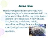 Nežuviniai jūros produktai 19 puslapis