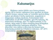 Nežuviniai jūros produktai 20 puslapis