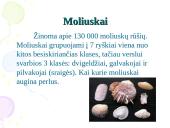 Nežuviniai jūros produktai 3 puslapis