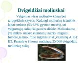 Nežuviniai jūros produktai 5 puslapis