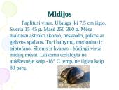 Nežuviniai jūros produktai 8 puslapis