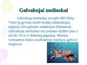 Nežuviniai jūros produktai 9 puslapis