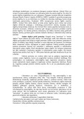 Maisto papildai ir ergogeninės medžiagos 5 puslapis