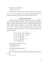 Galvaniniai elementai ir procesai vykstantys juose 6 puslapis