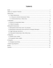 Rinkos tipai 2 puslapis