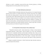 Rinkos tipai 13 puslapis