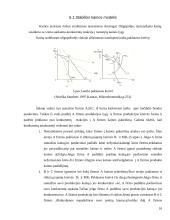 Rinkos tipai 16 puslapis