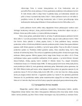 Rinkos tipai 17 puslapis