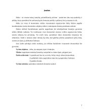 Rinkos tipai 3 puslapis