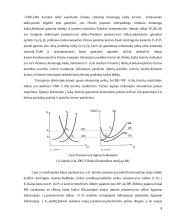 Rinkos tipai 8 puslapis