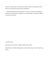 B. Sruoga "Dievų miškas": Žmogus prievartos pasaulyje 3 puslapis