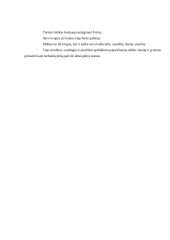 A. Baranauskas "Anykščių šilelis". Miško grožio vaizdavimas 2 puslapis