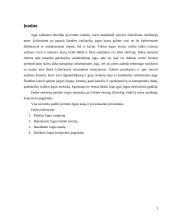 Jogos samprata, filosofija ir nauda 2 puslapis