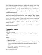 Jogos samprata, filosofija ir nauda 10 puslapis