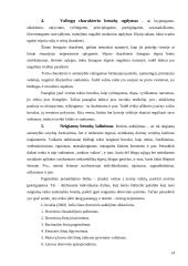 Dorovinio auklėjimo uždaviniai XX amžiaus 10 dešimtmečio pabaigoje 13 puslapis