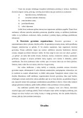 Dorovinio auklėjimo uždaviniai XX amžiaus 10 dešimtmečio pabaigoje 17 puslapis