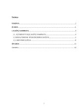 Kaštų samprata. Kaštų tipai 2 puslapis