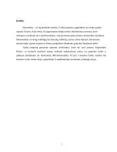 Kaštų samprata. Kaštų tipai 3 puslapis