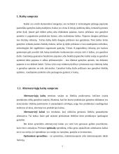 Kaštų samprata. Kaštų tipai 4 puslapis