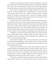 Kaštų samprata. Kaštų tipai 5 puslapis