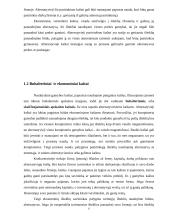 Kaštų samprata. Kaštų tipai 6 puslapis