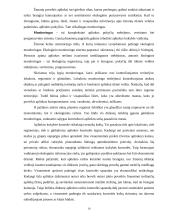 Kaštų samprata. Kaštų tipai 10 puslapis