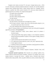 Multinacionalinių kompanijų ypatumai 9 puslapis