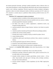 Multinacionalinių kompanijų ypatumai 10 puslapis