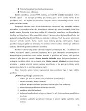 Multinacionalinių kompanijų ypatumai 13 puslapis