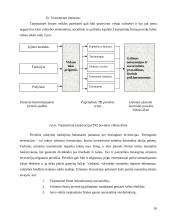 Multinacionalinių kompanijų ypatumai 16 puslapis