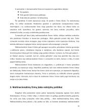 Multinacionalinių kompanijų ypatumai 17 puslapis