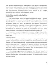 Multinacionalinių kompanijų ypatumai 18 puslapis